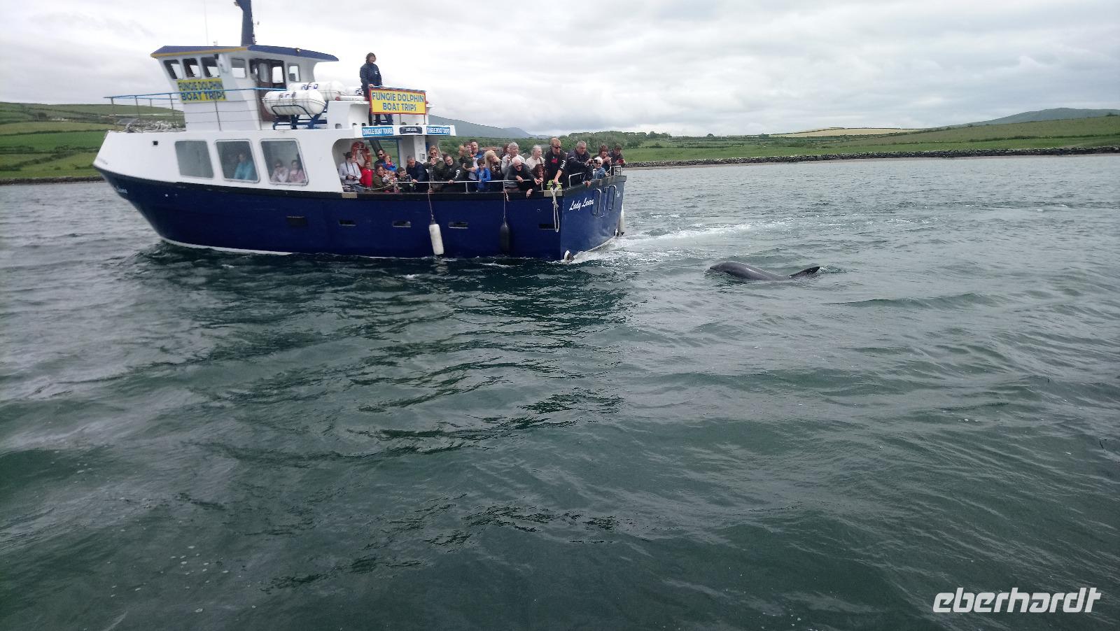 DSC_0555Irland Juni 2014 (20)