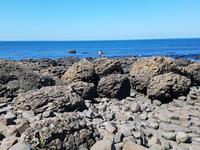 Giant's Causeway