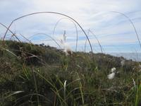 Slieve League, Co. Donegal