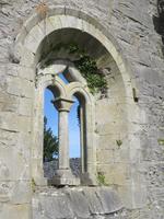 Ruine der Abtei von Cong, Connemara