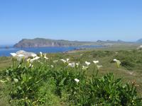 Dingle Slea Head Drive