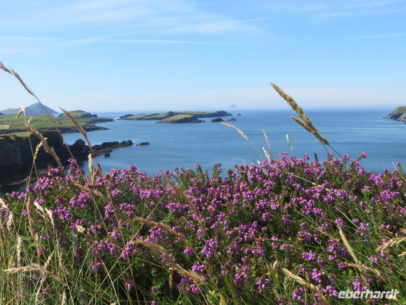 Venetia Island am Ring of Kerry
