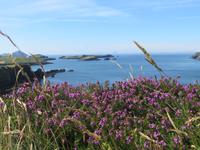 Venetia Island am Ring of Kerry