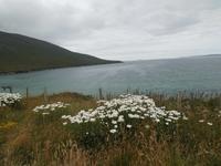  auf Achill Island