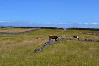 Wanderung auf den Aran Islands