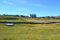 Wanderung auf den Aran Islands
