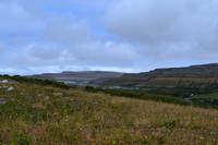 Ausflug in den Burren - Wanderung im Burren