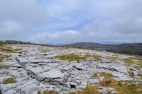 Ausflug in den Burren - Wanderung im Burren