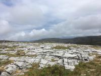 Ausflug in den Burren - Wanderung im Burren