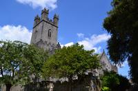 Limerick - St. Mary's Cathedral