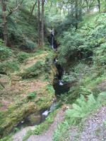Wanderung in Glendalough - Poulanass-Wassefall