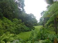 033-Glenveagh_Castle