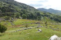 074-Kissanes_Shepfarm