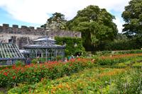 Glenveagh Castle & Gardens