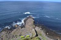 Ausflug nach Nordirland - Am Giant's Causeway