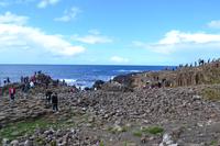 Ausflug nach Nordirland - Am Giant's Causeway