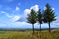 Wanderung am Ben Bulben