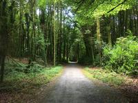 Wanderung im Coole Park