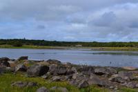 Wanderung im Coole Park