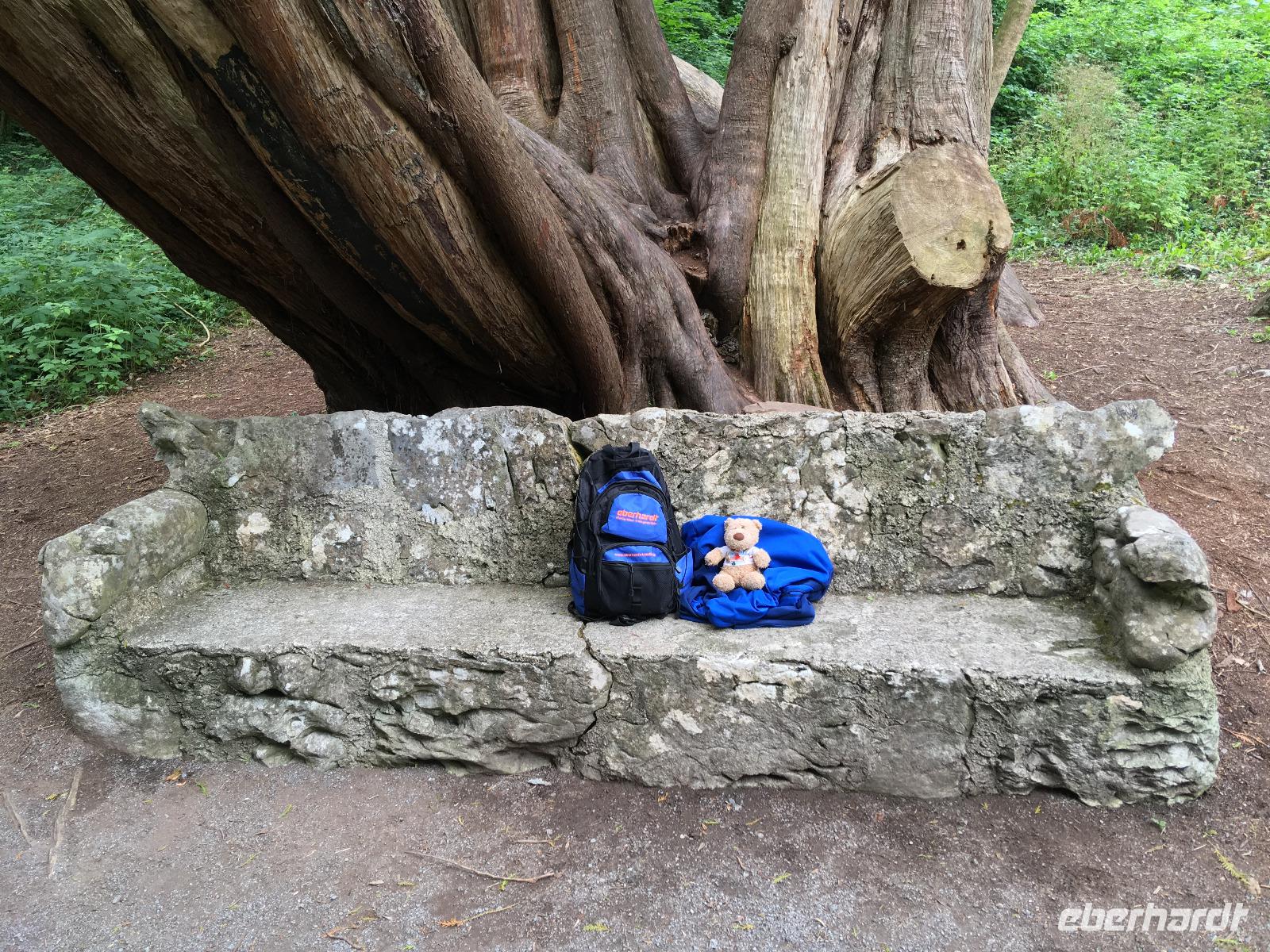 Wanderung im Coole Park