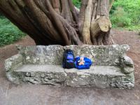 Wanderung im Coole Park