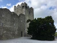 Killarney-Nationalpark - Ross Castle