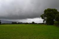 Besuch des Nationalgestüts in Kildare