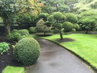 Besuch des Nationalgestüts in Kildare