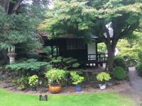 Besuch des Nationalgestüts in Kildare