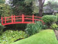 Besuch des Nationalgestüts in Kildare