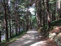 Wanderung in Glendalough