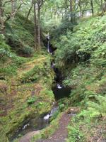 Wanderung in Glendalough Poulabass-Wasserfall