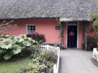   Cottage in Adare