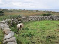 Wild Atlantic Way Donegal
