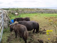 Wild Atlantic Way Donegal