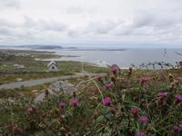 Wild Atlantic Way Donegal