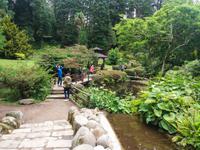 Powerscourt Gardens 1