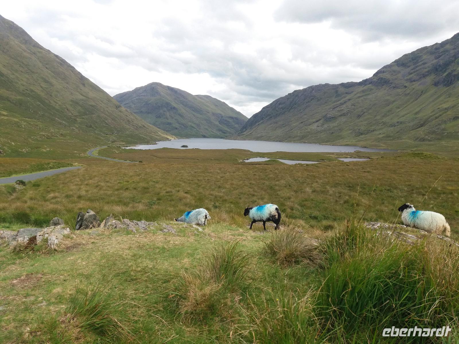 Doolough Valley 1