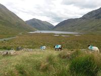 Doolough Valley 1
