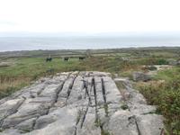 Aran Insel Inishmore 1