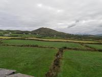 Steinfort Cahergall 1