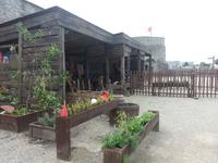 Limerick, King Johns Castle 1