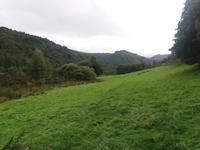 Glendalough 1