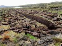 Torfstich bei Dungloe