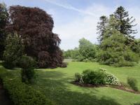 Im Walled Garden von Coole Park