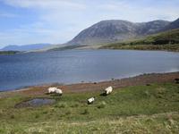 Am Lough Inagh