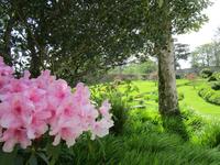Im Walled Garden von Kylemore Abbey