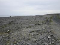 Der Burren