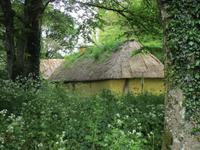 Im Bunratty Folk Park
