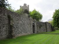 Reste der Dubliner Stadtmauer unterhalb von St. Audoen Church